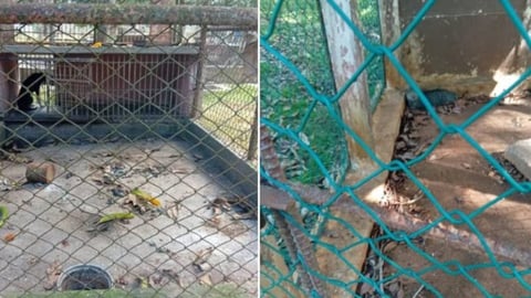 The Sad Demise of Colón Zoo: Empty Cages and Decaying Structures