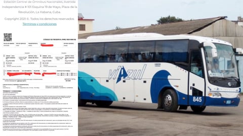 Pasajera denuncia presuntas irregularidades en viaje de Viazul