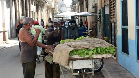 El Dinero Escaso: Salario Estatal Cubano No Alcanza Para Vivir