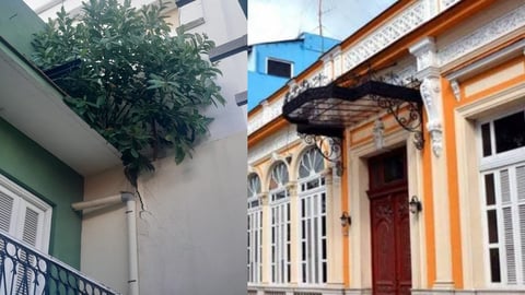 El abandono de la Sala White en Matanzas crece como la vegetación