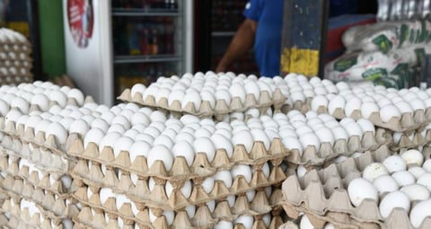 República Dominicana Reactiva Exportaciones de Huevos a Cuba