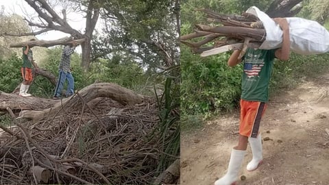 Cuba: Adolescents Prioritize Collecting Firewood Over School Amidst Ongoing Crisis