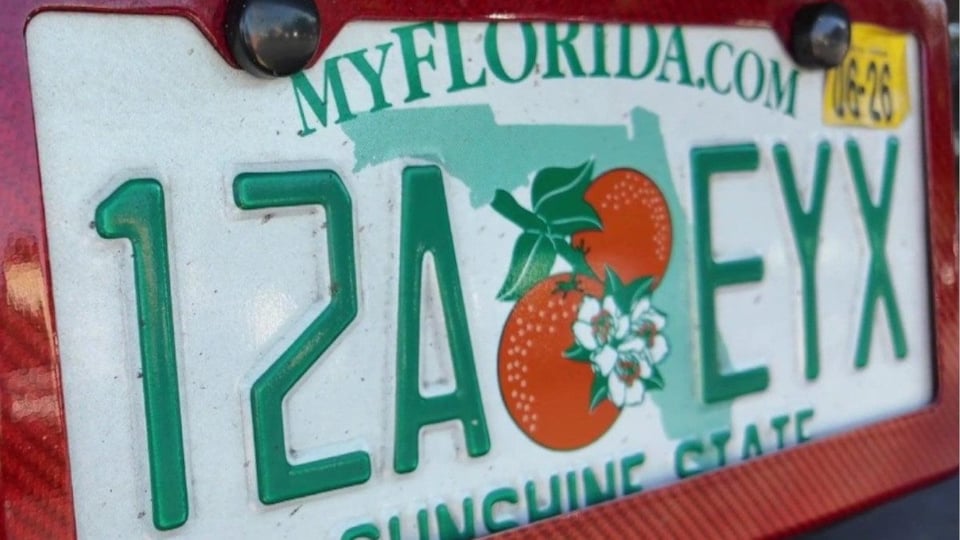 Tu Placa Dice Más de Ti de lo que Crees en Florida