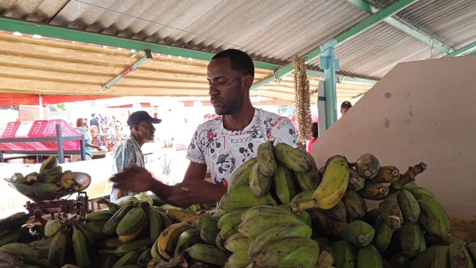 ¿Hasta cuándo el vacilón? Precios de la comida en Cuba por las nubes