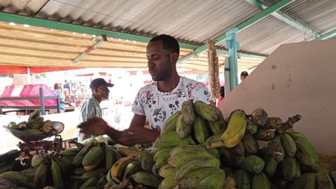 Precios de alimentos se disparan en Cuba y ahogan a familias