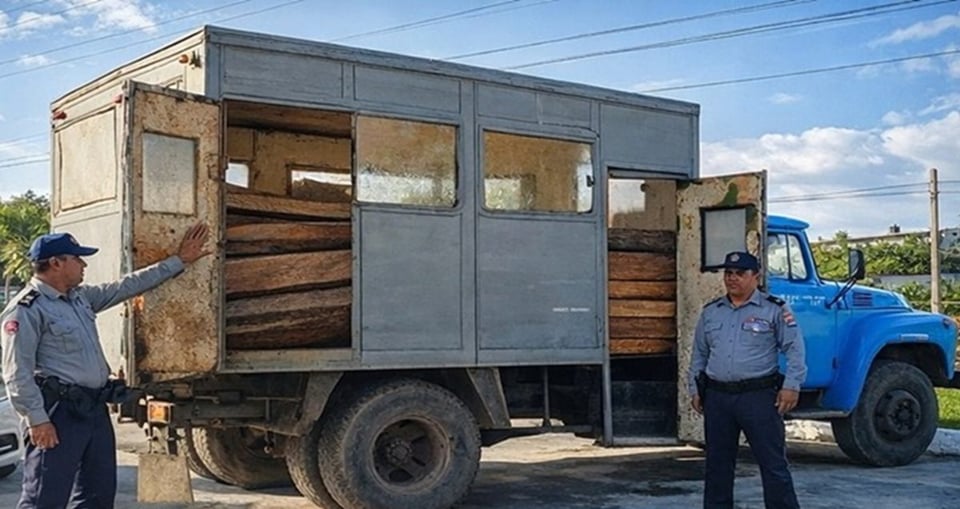 ¿Te Fajaste con la Madera? ¡En Camagüey te Cajolean!