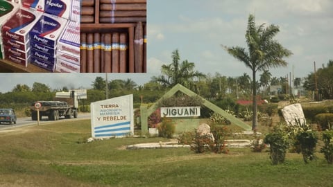 Trabajador en Granma Roba Millones en Cigarros y Tabacos