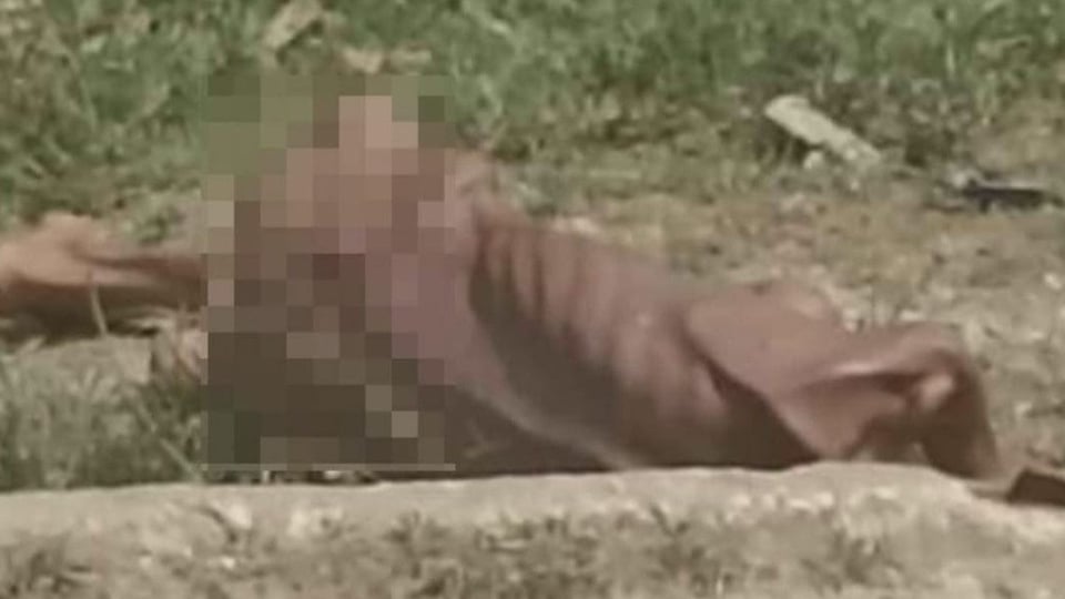 ¿Y a este quién lo viste? Hallan a paciente mental en la carretera ¡desnudo y al garete en Mayarí!