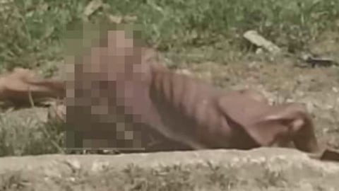 ¿Y a este quién lo viste? Hallan a paciente mental en la carretera ¡desnudo y al garete en Mayarí!