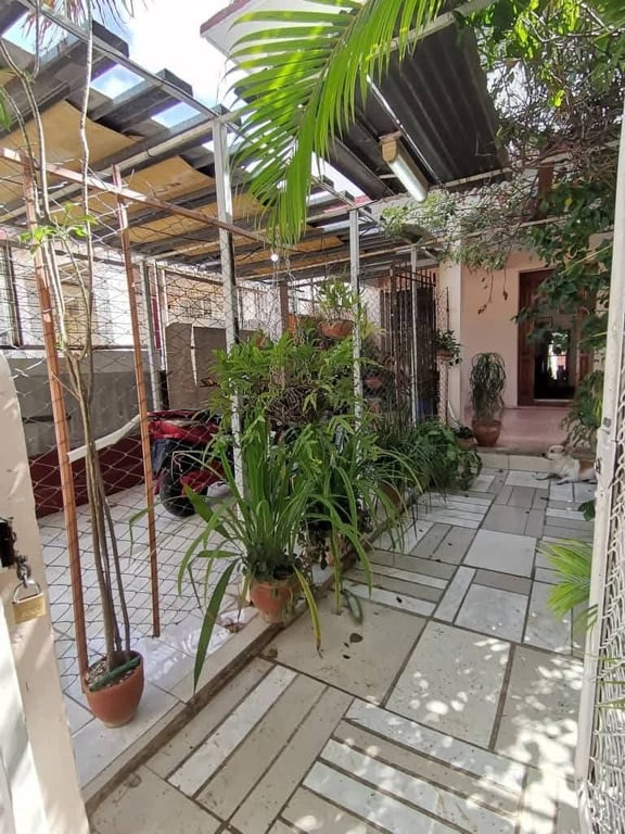 el-arca-de-noe-del-vedado-casa-independiente-de-2-plantas-con-todo-adentro-02.jpg