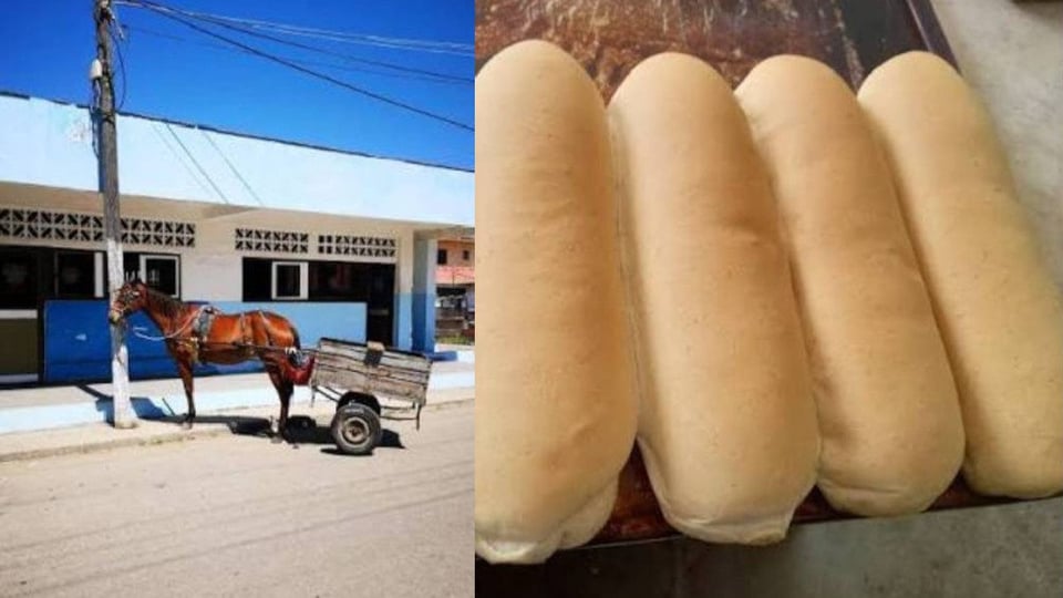 ¡Pan para revender! En Cojímar acusan a acaparadores en panadería estatal