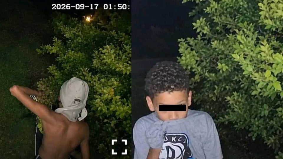 ¿Cámaras pillan ladrones moñeros en El Vedado? ¡Vecinos en pie de guerra!