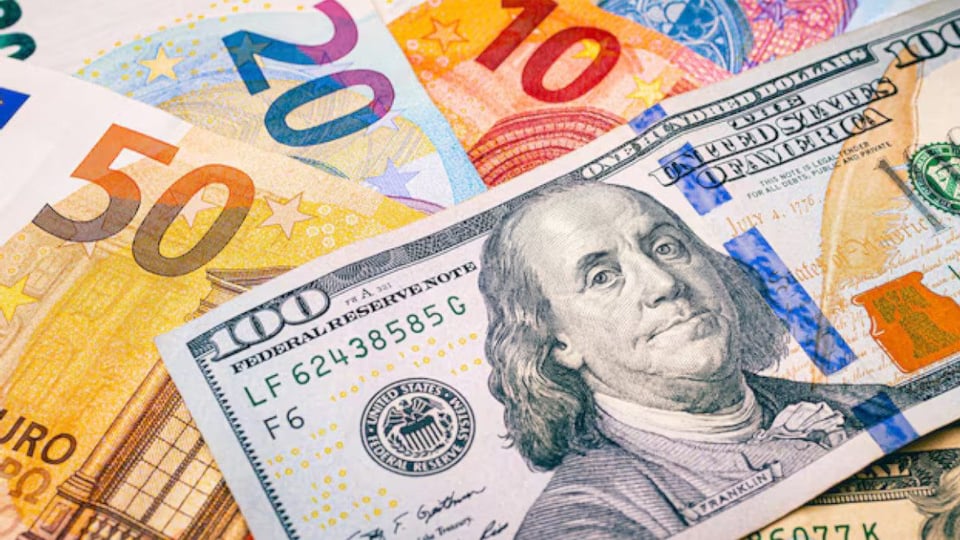 Dólar y Euro Suben en Cuba: ¿Qué Pasa con las Divisas?