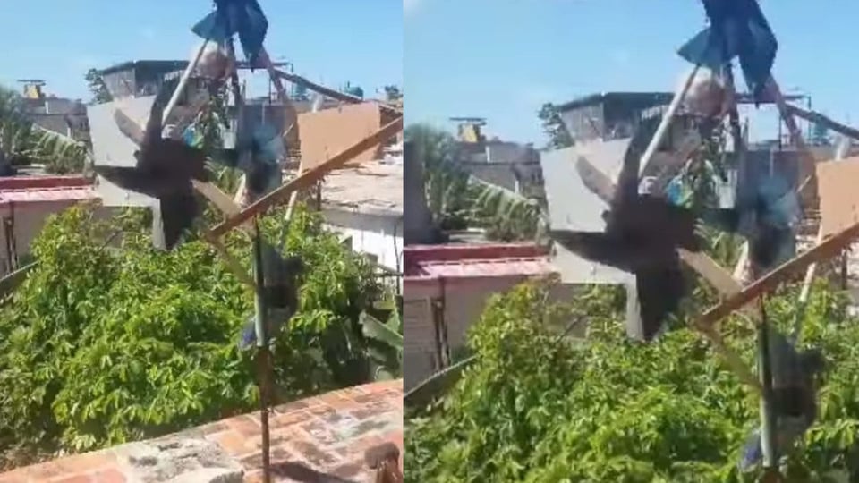 ¿Y tú con qué le echas bronca a los apagones? ¡Le ponen música a la candela!