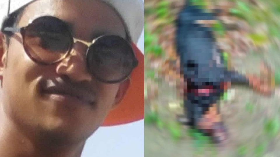 ¿Apaleaste al perro y andas suelto? ¡En La Habana sí que hay invento!