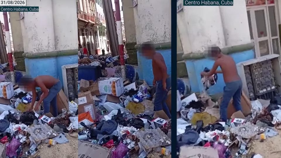 ¿Acaso no hay zapateros? Niño se mete a 'pasear' entre la basura de La Habana