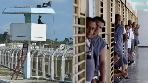 115 Muertes en Prisiones Cubanas: Cubalex Denuncia Falta de Atención Médica
