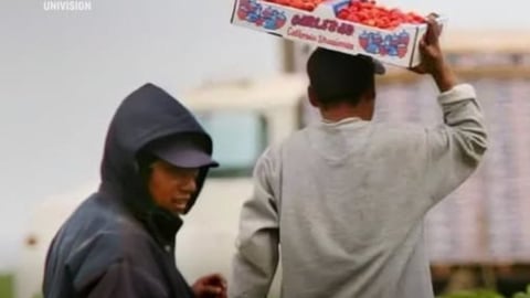 Riesgo Renal en Texas: Jóvenes Trabajadores Inmigrantes Afectados por Enfermedad Misteriosa