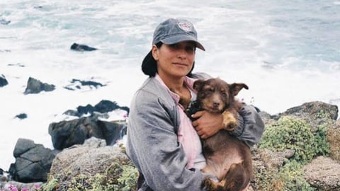 Cineasta chilena Paz Ramírez muere atropellada al rescatar a su perra