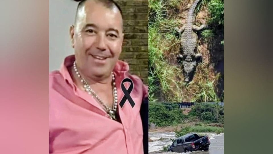 ¡Ay, Papá! Empresario se come el cuento del río y termina en la boca del cocodrilo en Sudáfrica