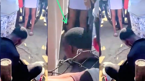 ¿Un EcoFlow en Plena Calle? ¡Pillaron a 'Pepino' en Colón Dando el Palo!