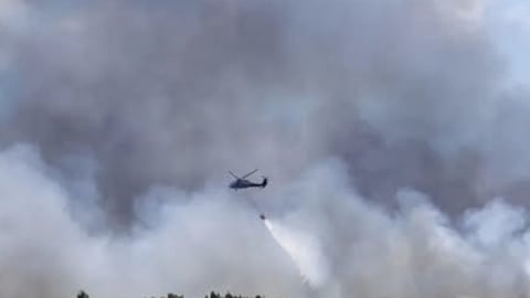 ¿Qué Viento se Llevó 280 Acres en los Everglades? ¡La Cosa Está Caliente en Miami!