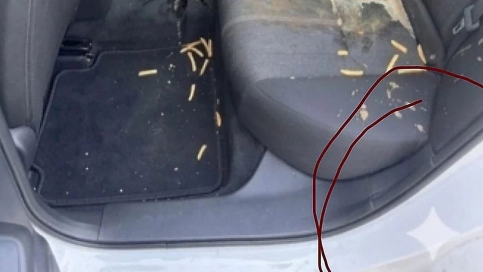 Conductor de Lyft usa IA para cobrar daños falsos