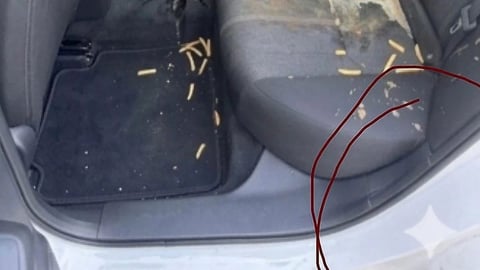 Conductor de Lyft Acusado de Usar IA para Cobrar Daños Falsos a Pasajeras Adolescentes