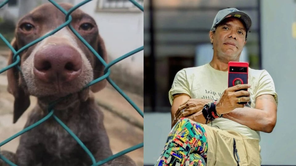 Rescatan perros en estado crítico de propiedad de cantautor cubano Raúl Torres