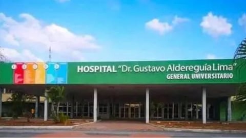 Insanidad en Cienfuegos: Cucarachas invaden sala de maternidad de hospital
