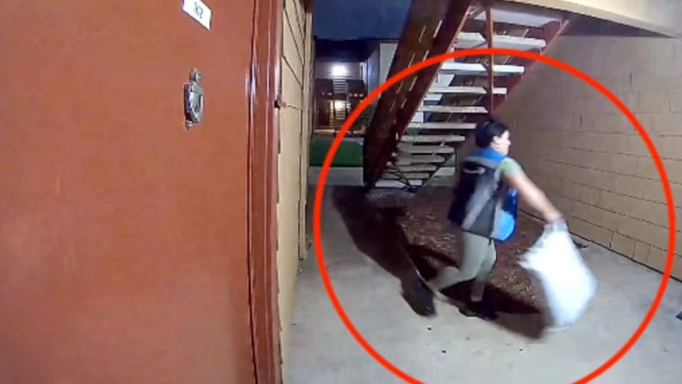 ¿Qué Le Pasó a la Repartidora Cubana Que Le Tiró el Paquete a la Casa? ¡Un Bochinche Viral!