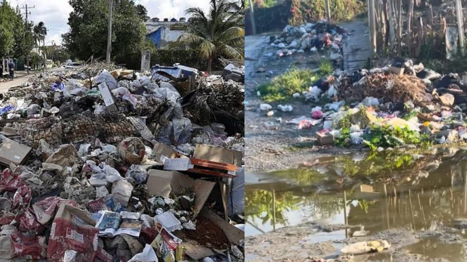 ¿Qué pasó, Cuba? Minsap admite que el dengue, la diarrea y la gripe te tienen en vilo