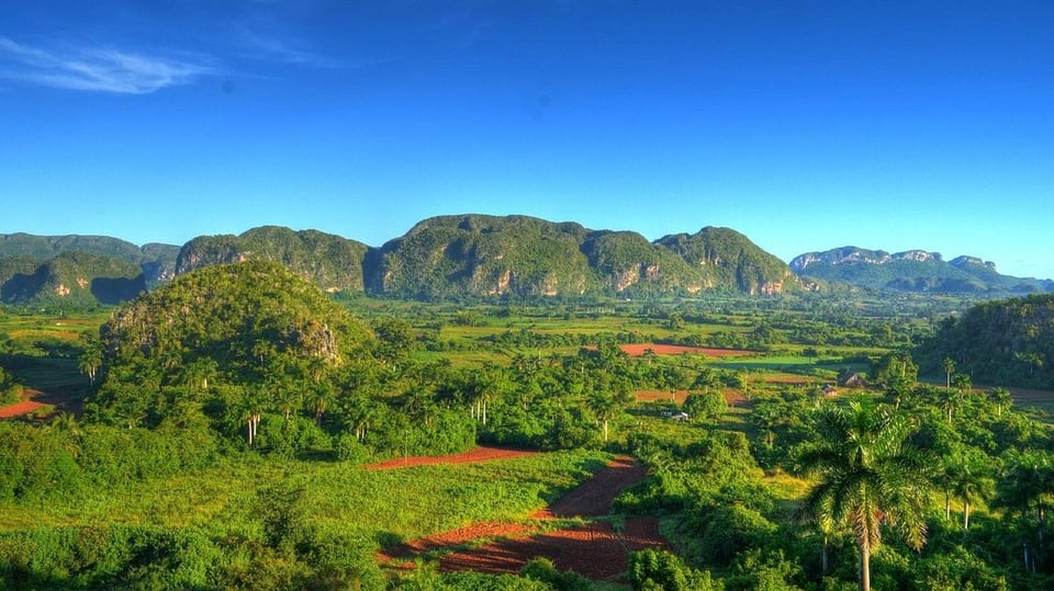 ¿Y ahora qué hacemos? Viñales sin un alma en oferta, ¡hasta siembran yuca!