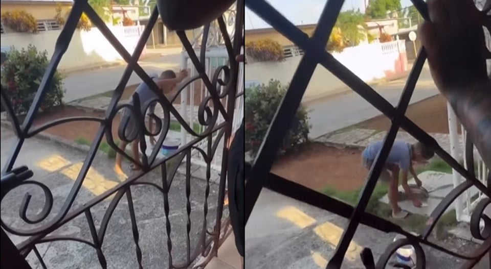 ¿¡Pintando casas por carne y huevo!? El niño cubano de 6 años que conmociona al país