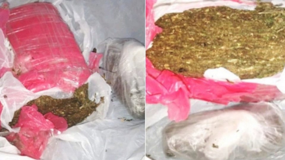 ¿Bochinche de Marihuana en Contramaestre? ¡Policía le puso el freno!