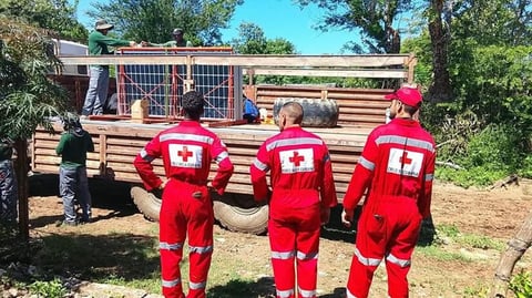 Cruz Roja brinda apoyo a miles en Cuba tras el huracán Melissa