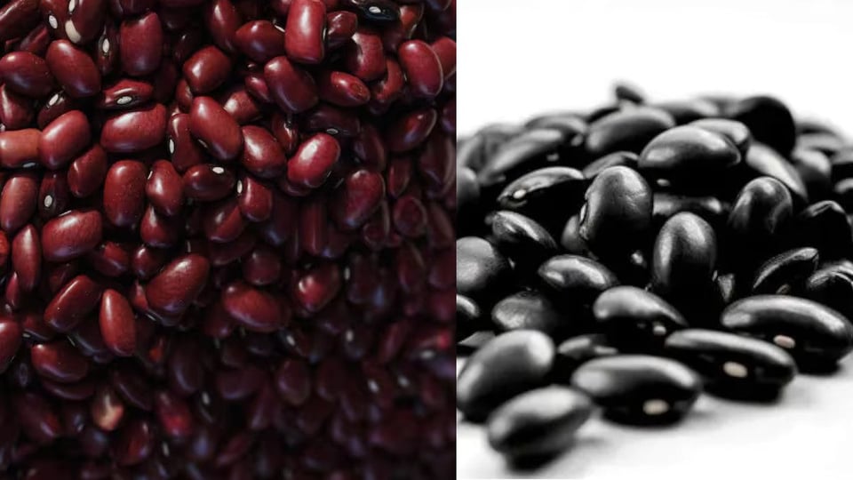 ¿Frijol con cuenta? Reparten el grano en Artemisa a 285 pesos la libra