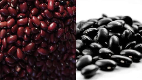 ¿Frijol con cuenta? Reparten el grano en Artemisa a 285 pesos la libra