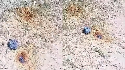 Posible caída de meteorito genera expectación en Granma, Cuba