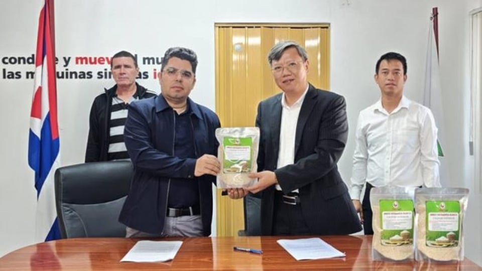 ¡Bochinche arrocero! Vietnam nos dona arroz que siembra en suelo cubano