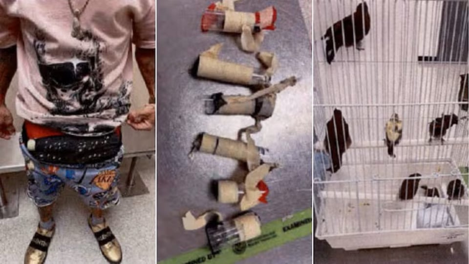 ¿Y tú supiste esto? ¡Cubano con pajaritos 'embarazao' en los boxers, pillao en Miami!