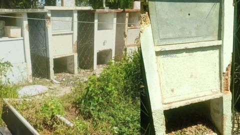 Deterioro y robos: Denuncian estado del cementerio de Cárdenas