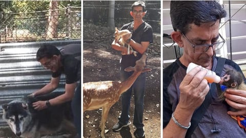 Ulises Toirac Rompe el Silencio ante Presiones por MascoLive y Defiende su Amor Animal