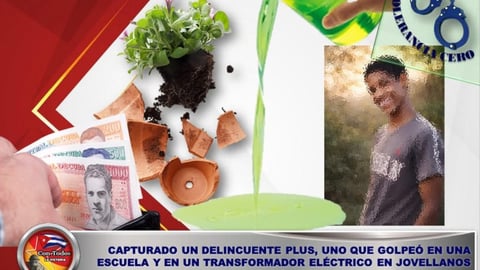 Detienen a hombre por vandalismo en escuela y robo de aceite de transformador en Jovellanos