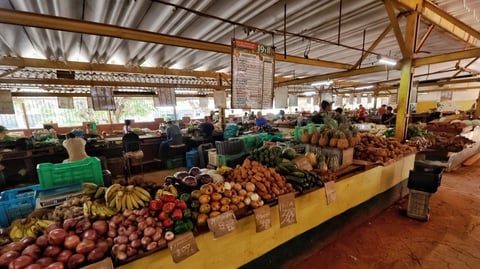 Cuba Redesigns Retail to Combat Shortages with New Markets