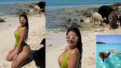 Influencer 'La Dura' Hospitalizada Tras Nadar con Cerdos en Bahamas