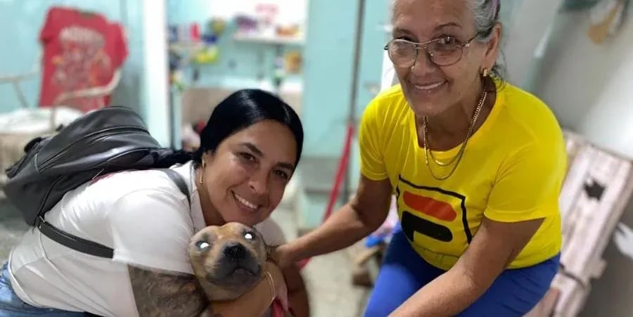 Cuba: Denuncian Represión y Hostigamiento a Bienestar Animal Cuba