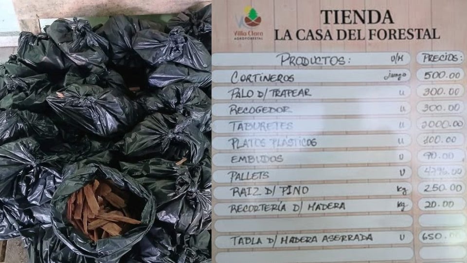 Venta de pinotea para encender fogones causa debate en Santa Clara