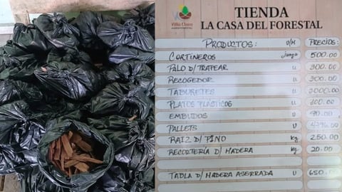 Venta de pinotea para encender fogones causa debate en Santa Clara