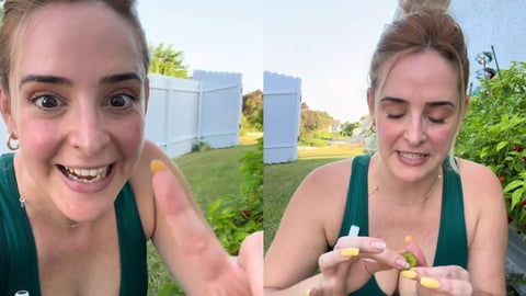 Cubana en Miami Cultiva Ají Cachucha y Recuerda Sabores de Cuba